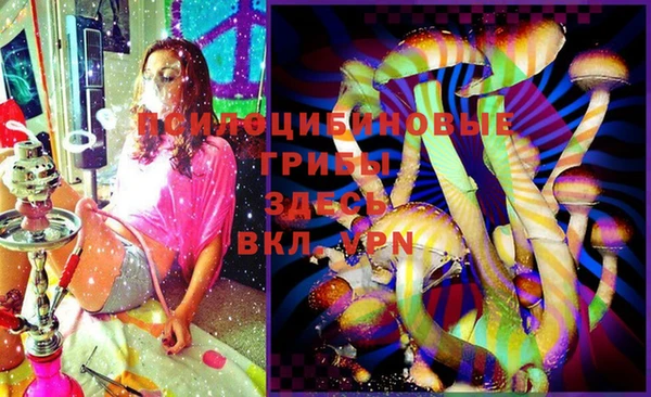 гидропоника Коряжма