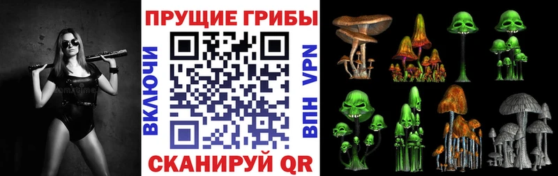 Псилоцибиновые грибы мицелий Лобня